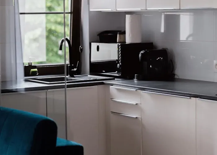 公寓 Baltic Beachside 索波特