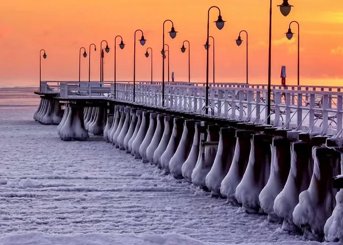 Baltic Beachside Sopot